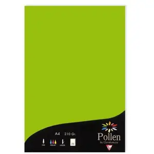 Clairefontaine Etui de 25 feuilles Pollen 210x297 Vert Menthe 210g