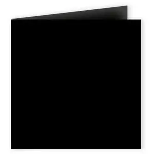 Comparateur de prix : Pollen - 25 cartes doubles carrées 13.5 x 13.5 cm - Noir