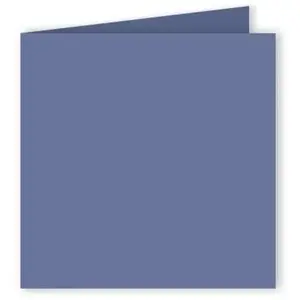 Comparateur de prix : ClaireFontaine Clairefontaine Carte 210g Pliée 160x160 Myosotis Pqt 25