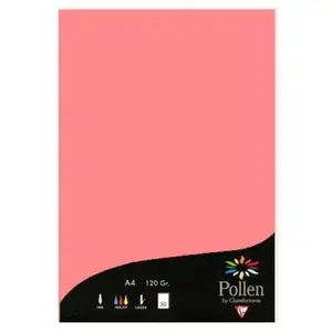 Comparateur de prix : Étui de 50 feuilles Clairefontaine Pollen TU