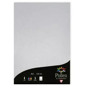 Clairefontaine Pollen - 50 feuilles papier A4 120 g - Argent pas cher