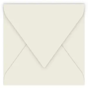 Paquet de 20 enveloppes Pollen 165x165mm Gris Perle 120g