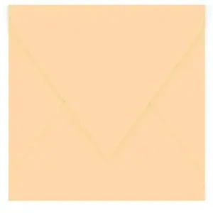 Pollen Enveloppe 120g 165x165 opaline pqt 20