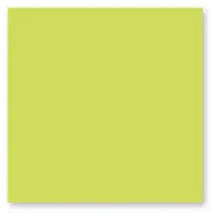Clairefontaine Paquet de 25 cartes simples Pollen 160x160mm Vert Bourgeon 210g pas cher