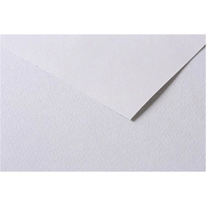 Comparateur de prix : Clairefontaine Papier dessin Tulipe 160 g/m² 50 x 65 cm Gris souris