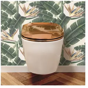 Abattant WC - OLFA - Wood Slim - Cuivre - Déclipsable - Fixation par l...Vendu parconforama