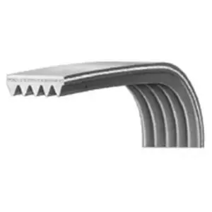 HOME EQUIPEMENT Courroie 1244J5 00126206 pour Lave linge aya, beko, continental edison, essentiel b, far, lamona, listo, saba, selecline, sogelux, vedette , lave