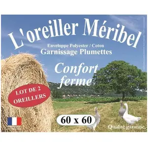 Comparateur de prix : DODO Lot de 2 Oreillers MERIBEL Plumettes 60x60cm