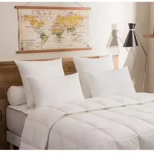 Dodo Lot de 2 Oreillers Moelleux Micrococoon pas cher
