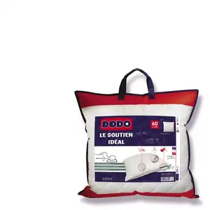 Oreiller Carré 60x60 cm SOUTIEN IDEALVendu parconforama