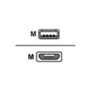 Comparateur de prix : WE - Câble USB - Micro-USB de type B (M) pour USB (M) - 1 m - or