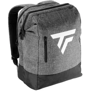 Comparateur de prix : Sac à dos Tecnifibre All Vision - gris - TU