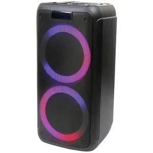 Enceinte Edenwood Party 350 pas cher