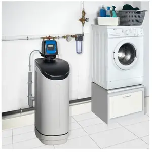 Apic - Adoucisseur d'eau 20L Vanne Fleck 5800 sxt pas cher