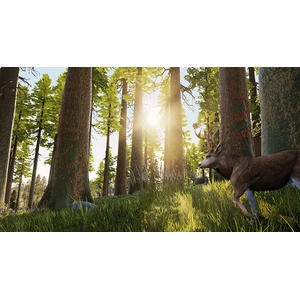 Comparateur de prix : Bigben Interactive Jeu de chasse sur XB1 - Hunting Simulator