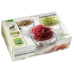 Germ'Line Germline - Coffret cadeau - Germoir en verre + 3 sachets de graines + 1 livre pas cher