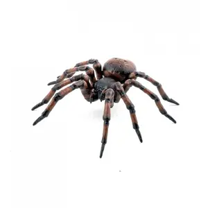 papo La Vie Sauvage Araignée Commune pas cher