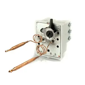 Cotherm Thermostat bulbe 2 sondes tripolaire - chauffe-eau Multi-marquesVendu paramazon