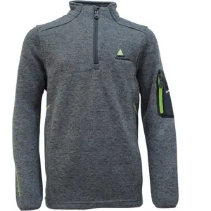 Comparateur de prix : Peak Mountain Ecypa - Sweat Polaire gris 16 ans