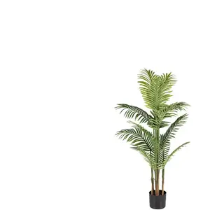 Plantes assorties en pot ARECA pas cher