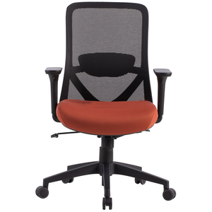 Chaise de bureau ZEPHYRON coloris noir pas cher
