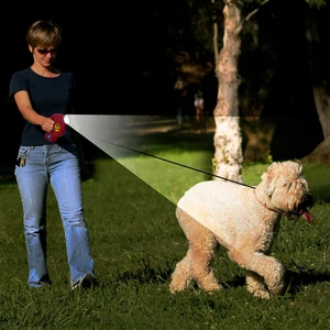 ASTUCEO LAISSE POUR CHIEN RETRACTABLE AVEC LUMIERE pas cher