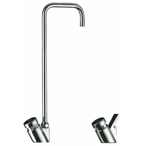 Robinet de fontaine à bec - pour tube rilsan - Delabie pas cher