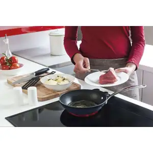 BEKA Poêle Titan 24 cm en aluminium forgé antiadhésif - - Noir - Aluminium pas cher