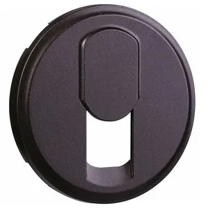 Legrand Enjoliveur Céliane pour prise simple RJ45 STP catégorie 6 multimédia - Graphite pas cher
