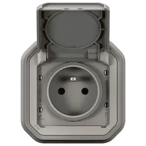 LEGRAND Prise de courant avec volet plexo complet encastre avec griffes - gris pas cher