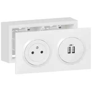 Comparateur de prix : LEGRAND Prise de courant surface avec 2 chargeurs USB Dooxie type A - 2.4A