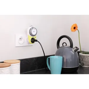 Comparateur de prix : OTIO Programmateur quotidien T10 anis