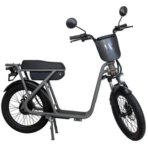 Draisienne électrique Wispeed 36V14Ah 350 W Gris pas cher