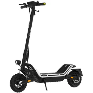 Comparateur de prix : Trottinette électrique WISPEED SUVPILOT 480