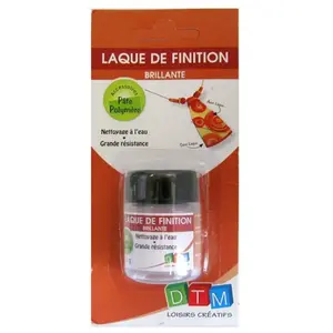 Comparateur de prix : DTM Laque de finition pour modelage 25 g