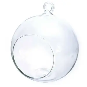 Comparateur de prix : GRAINES CREATIVES Graine Créative Boule Verre Ouverte 8 cm