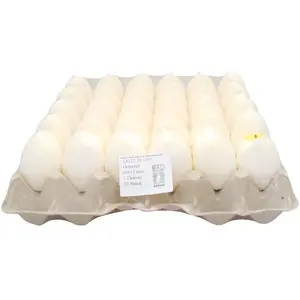 GRAINE CREATIVE Bougie oeuf - Ø 4,5 x 6 cmVendu paramazon