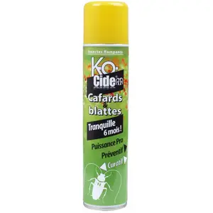 Comparateur de prix : KOCIDE Laque anti-cafards et blattes - 300 mL
