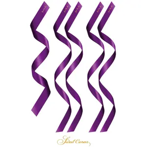 Sweet Caress 5 liens satin pourpre pas cher