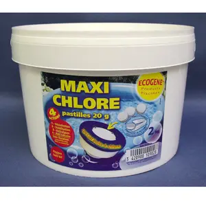 ECOGENE Maxi chlore pastilles 20g 2 kg pas cher