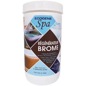 ECOGENE Regenerateur brome spa poudre 1kg pas cher