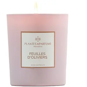 Plantes & Parfums - Feuilles d'Oliviers Bougies 180 g unisex pas cher