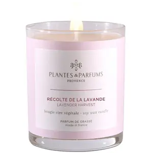 Plantes & Parfums - Récolte de la Lavande Bougies 180 g unisex pas cher