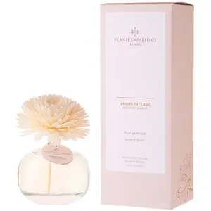 Plantes & Parfums - Ambre Intense Diffuseurs et parfums d'intérieur 10... pas cher
