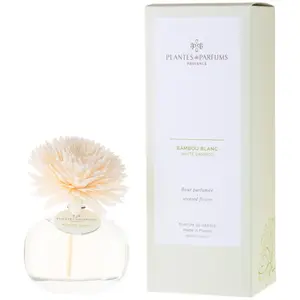 Plantes & Parfums - Banbou Blanc Diffuseurs et parfums d'intérieur 100... pas cher