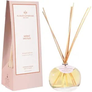 Plantes & Parfums - Monoï des Iles Diffuseurs et parfums d'intérieur 1... pas cher