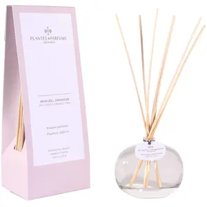 Plantes et Parfums de Provence Bouquet Parfumé Mon Bel Oranger - 100ml pas cher