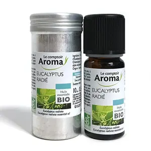 LECOMPTOIRAROMA LE COMPTOIR AROMA Huile essentielle bio d’eucalyptus radié flacon 10ml pas cher