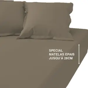 Drap-housse grand bonnet coton TERTIO® - taupe pas cher