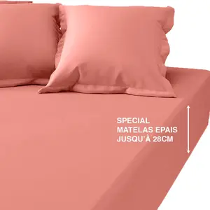 Drap-housse grand bonnet coton TERTIO® - Pêche pas cher